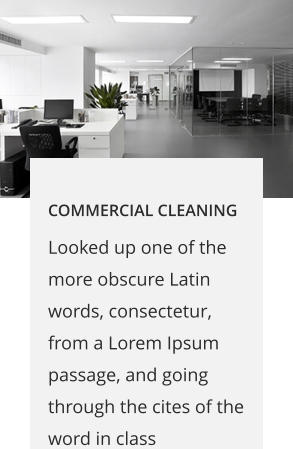 COMMERCIAL CLEANING Looked up one of the more obscure Latin words, consectetur, from a Lorem Ipsum passage, and going through the cites of the word in class