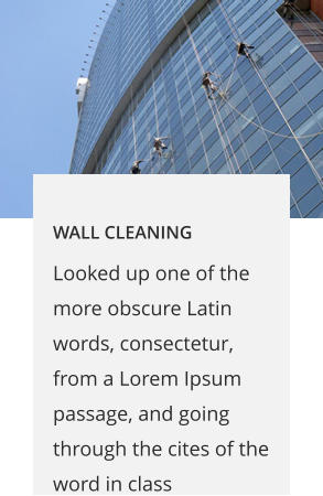 WALL CLEANING Looked up one of the more obscure Latin words, consectetur, from a Lorem Ipsum passage, and going through the cites of the word in class